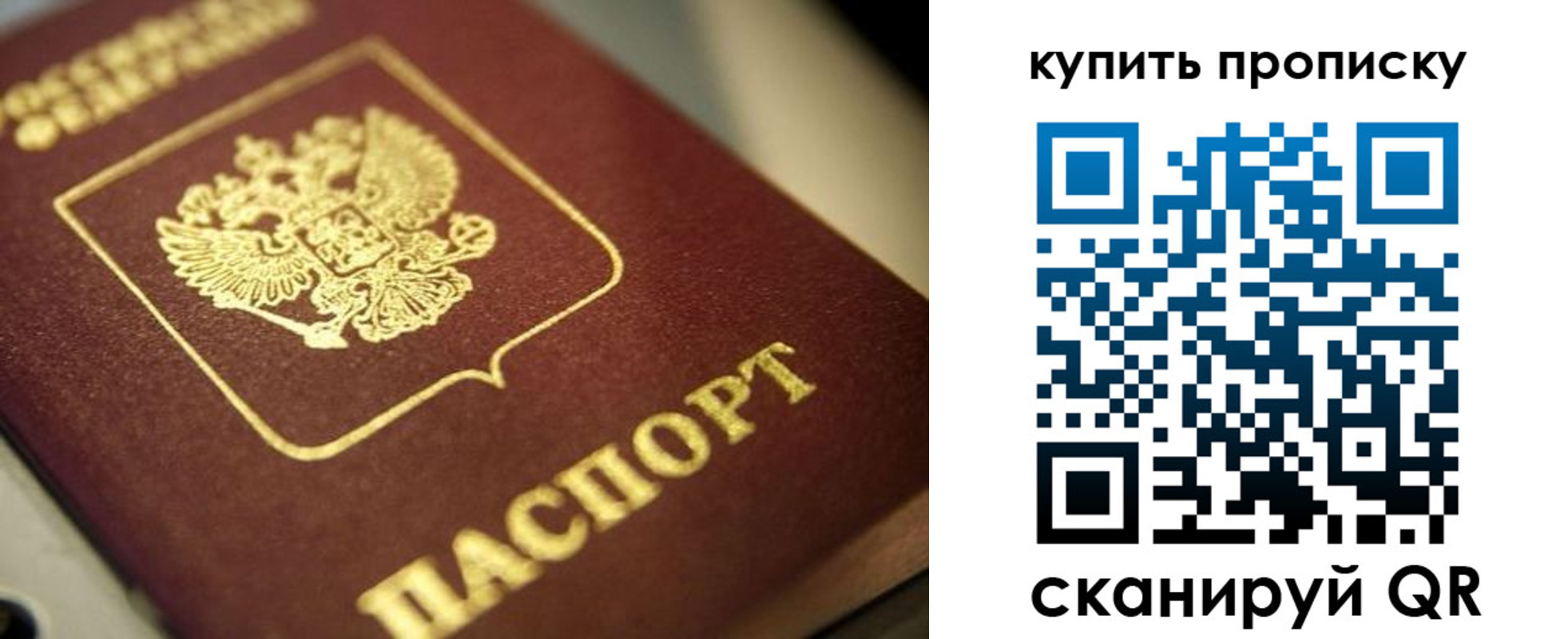 прописка поиск в Краснодарском крае